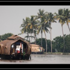 Houseboats at Alappuzha