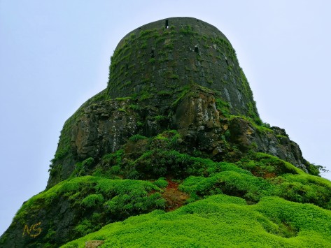 Torna Fort from Zunjar Machi