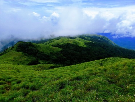 Pushpagiri Hills